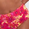 Joe Browns Festival Retro-Bikinihose Mit Blumenprint -Next || RIVER ISLAND Verkaufsgeschäft Q40708s